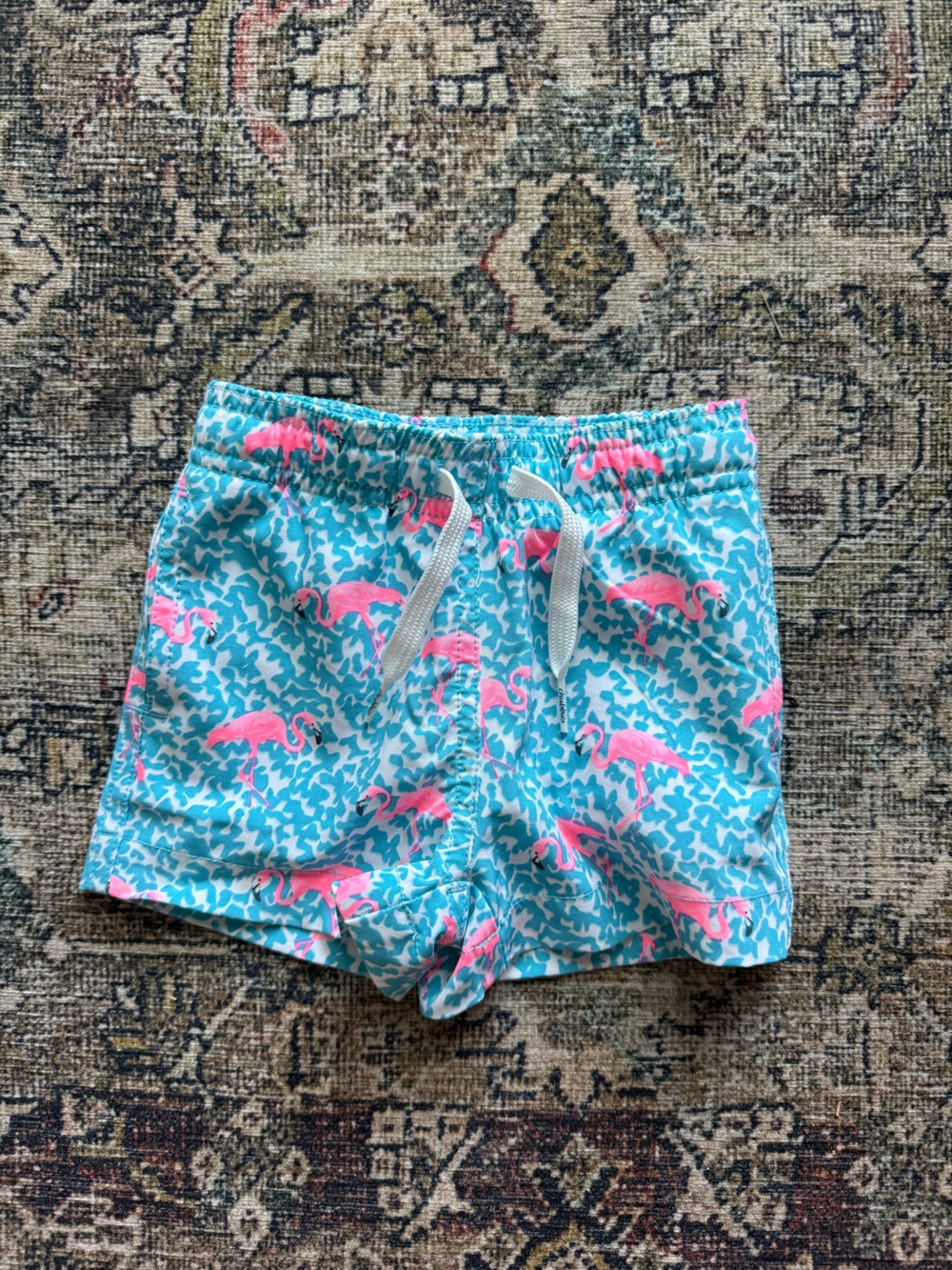 Chubbies Toddler Boys' Classic Swim Trunks- mini mingos